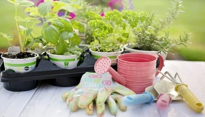 Gartenhausversicherung günstig bei uns abschließen