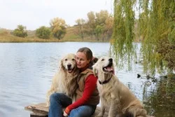 Hunde versichern mit günstigen Beiträgen